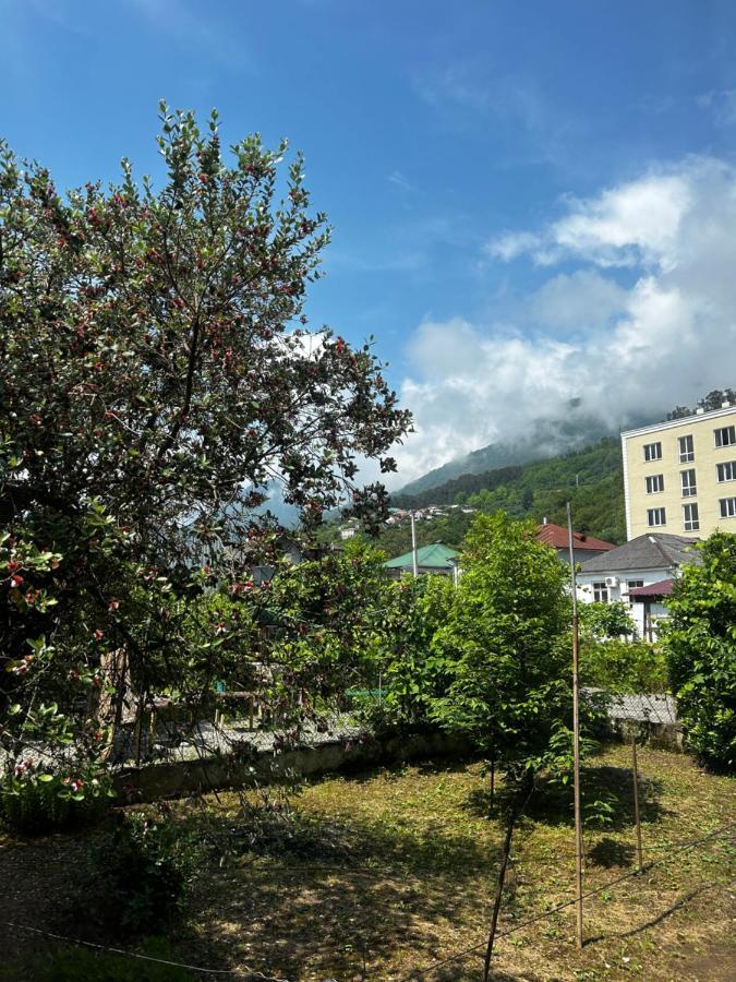 Na Shapsug Guest House Gagra Ngoại thất bức ảnh